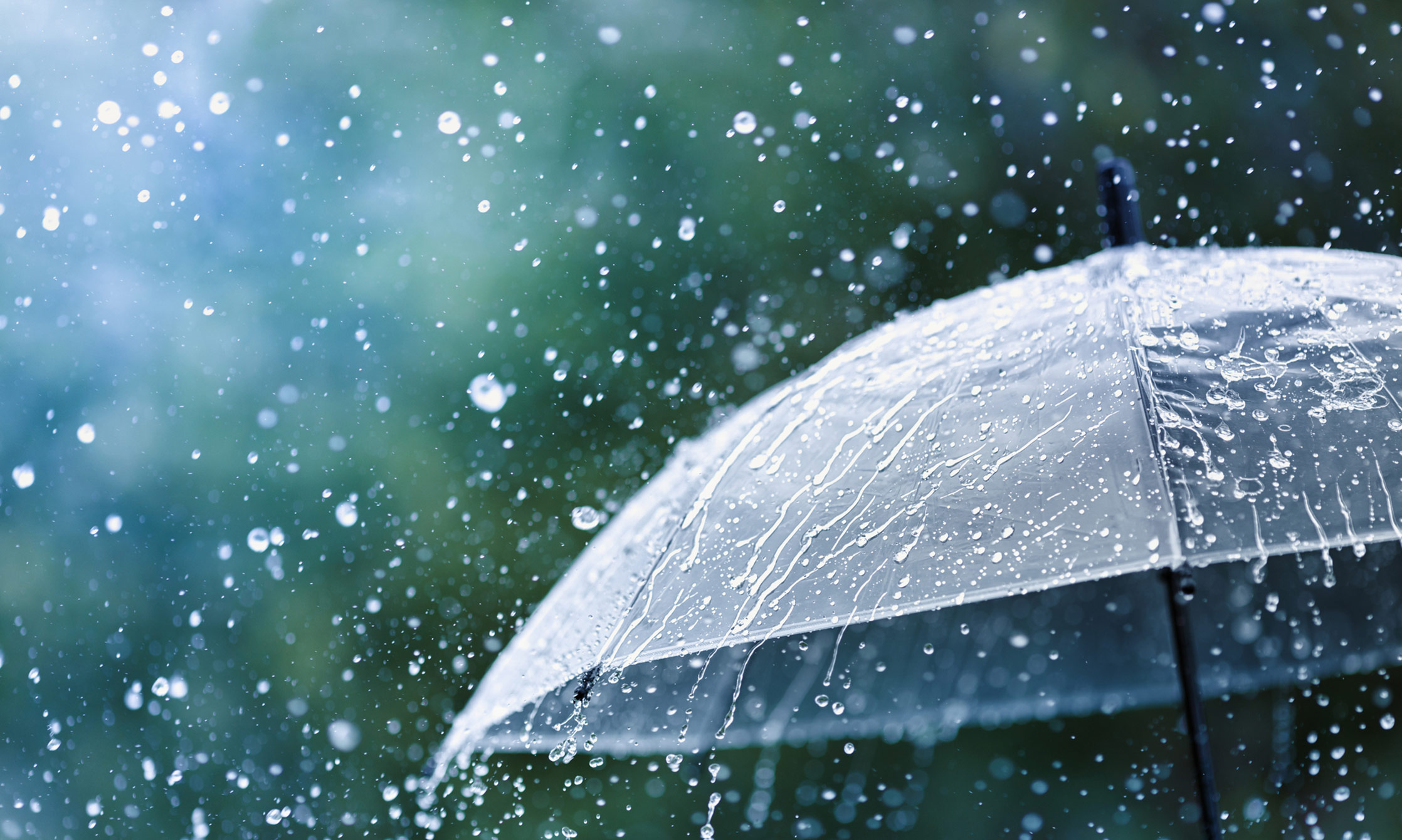 California Umbrella Insurance Coverage